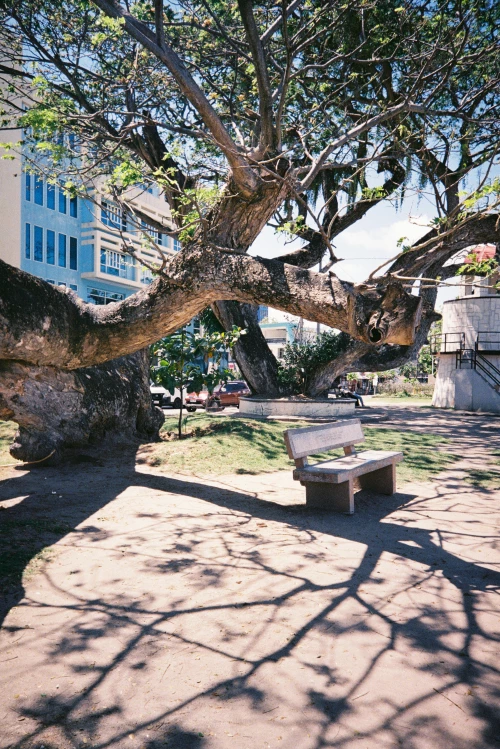 Dumaguete Vibes - A nostalgic glimpse of Dumaguete through 35mm film, with soft grain, warm tones, and quiet everyday moments that feel like memories you keep coming back to.