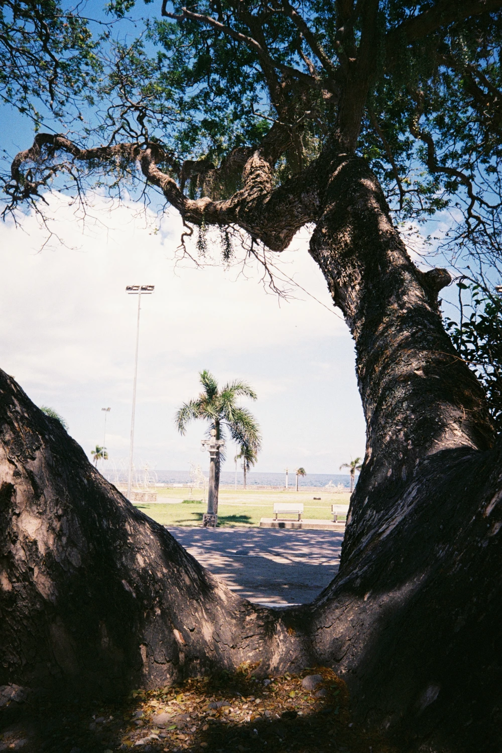 Dumaguete Vibes - A nostalgic glimpse of Dumaguete through 35mm film, with soft grain, warm tones, and quiet everyday moments that feel like memories you keep coming back to.