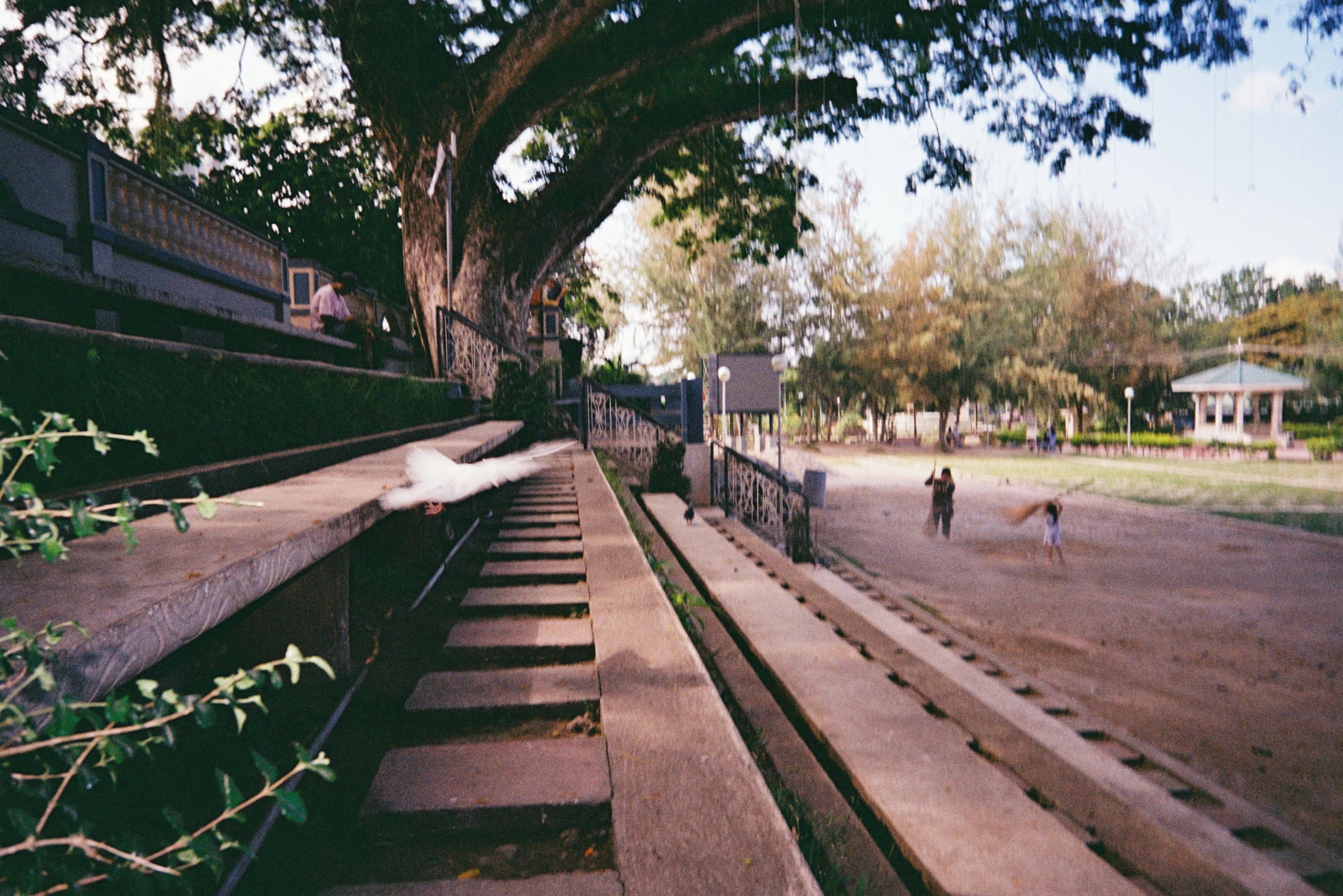 Dumaguete Vibes - A nostalgic glimpse of Dumaguete through 35mm film, with soft grain, warm tones, and quiet everyday moments that feel like memories you keep coming back to.