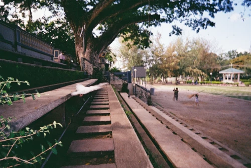 Dumaguete Vibes - A nostalgic glimpse of Dumaguete through 35mm film, with soft grain, warm tones, and quiet everyday moments that feel like memories you keep coming back to.